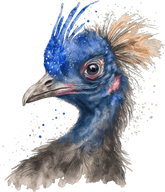 Set-of-Australian-animal-wall-sticker-decals-removable - Mega Sticker Store